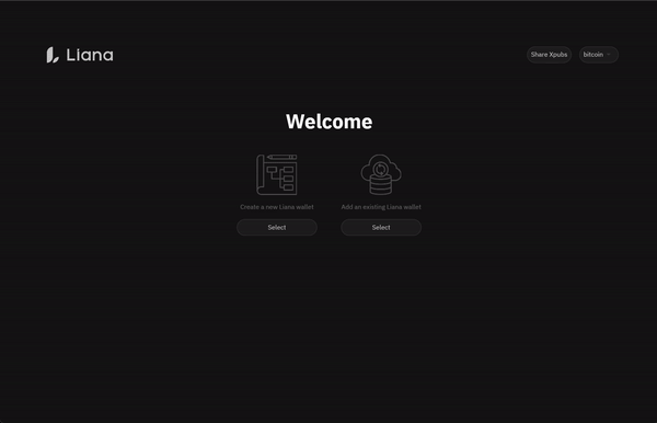 Liana - Bitcoin Wallet with protection against loss